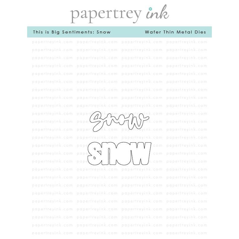 Papertrey Ink This is Big Sentiments Snow Dies pti-0876