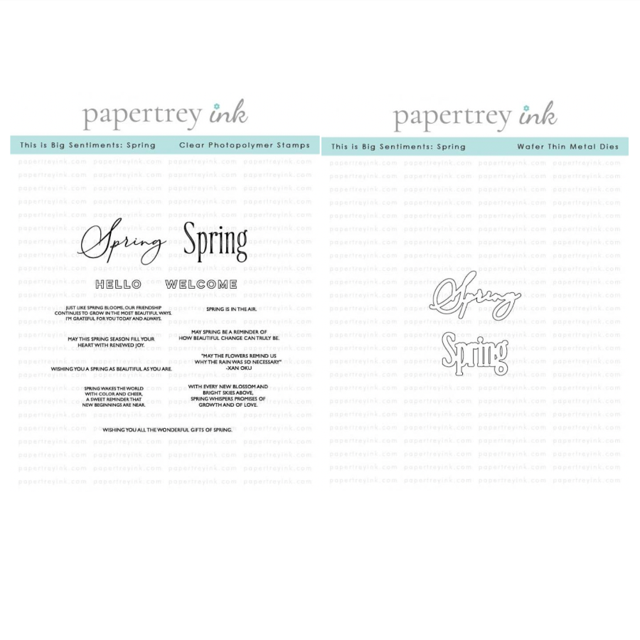 Papertrey Ink This is Big Sentiments Spring Clear Stamp and Die Set