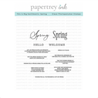 Papertrey Ink This is Big Sentiments Spring Clear Stamps 1695