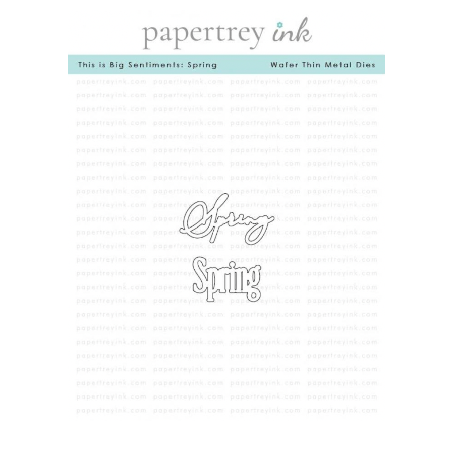 Papertrey Ink This is Big Sentiments Spring Die pti-1069