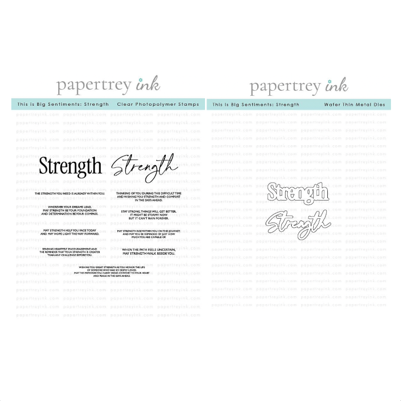 Papertrey Ink This is Big Sentiments Strength Clear Stamp and Die Set