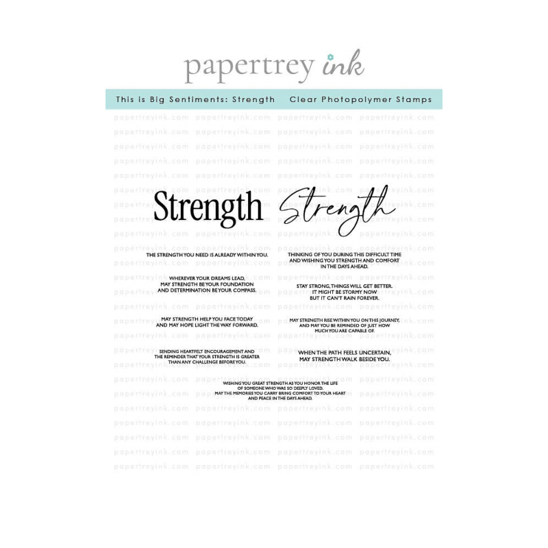 Papertrey Ink This is Big Sentiments Strength Clear Stamp and Die Set image 1