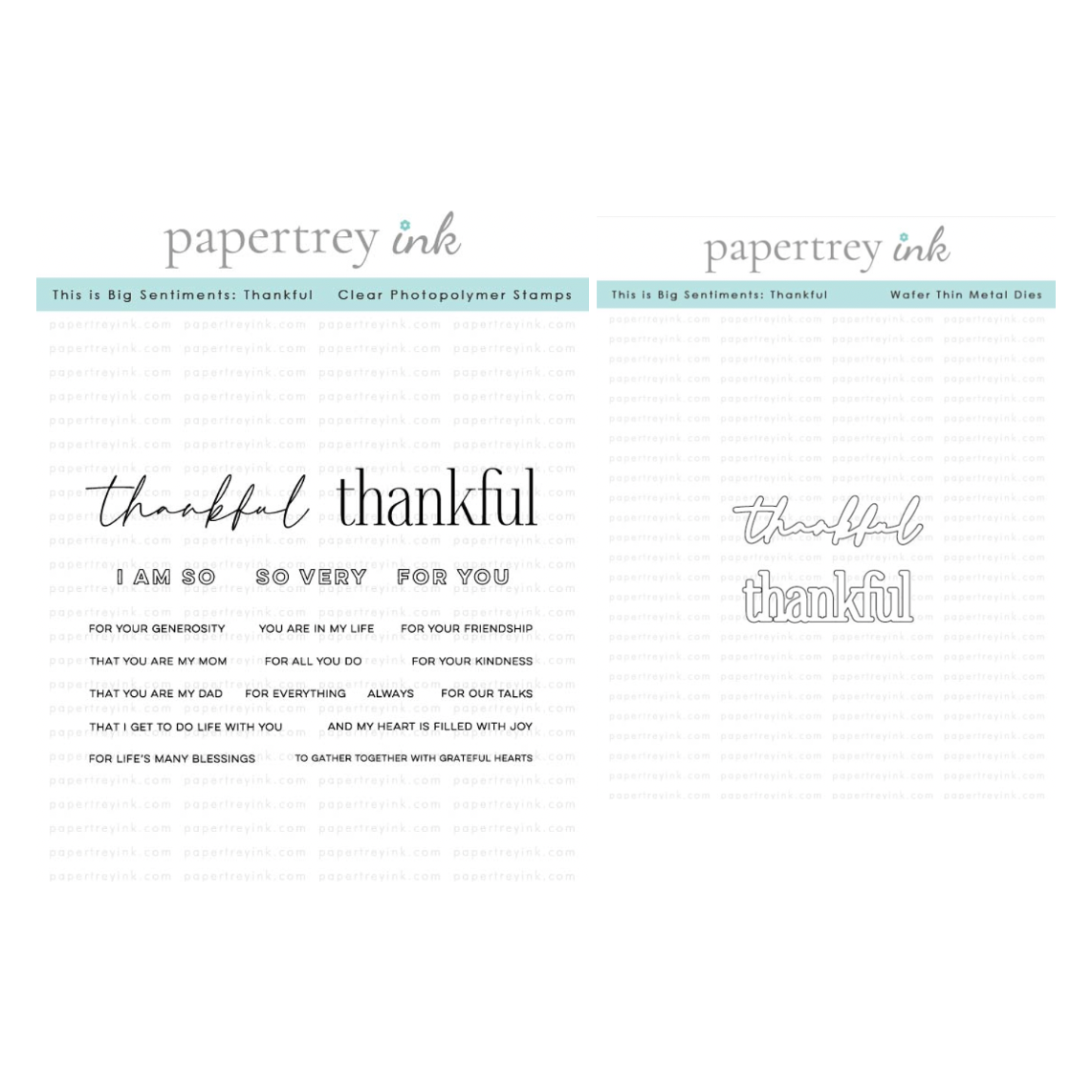 Papertrey Ink This is Big Sentiments Thankful Clear Stamp and Die Set