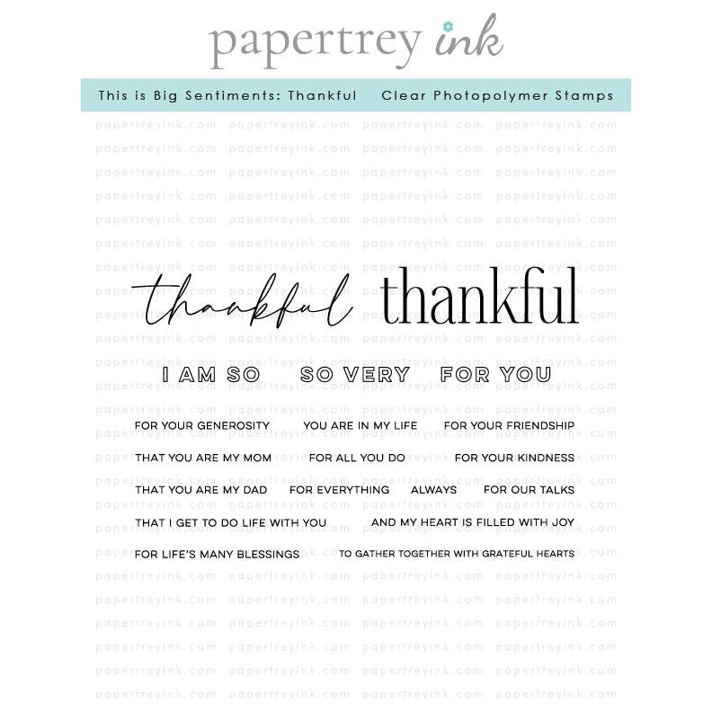 Papertrey Ink This is Big Sentiments Thankful Clear Stamps 1599