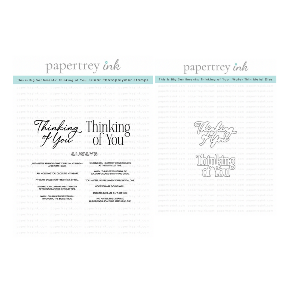 Papertrey Ink This is Big Sentiments Thinking of You Clear Stamp and Die Set