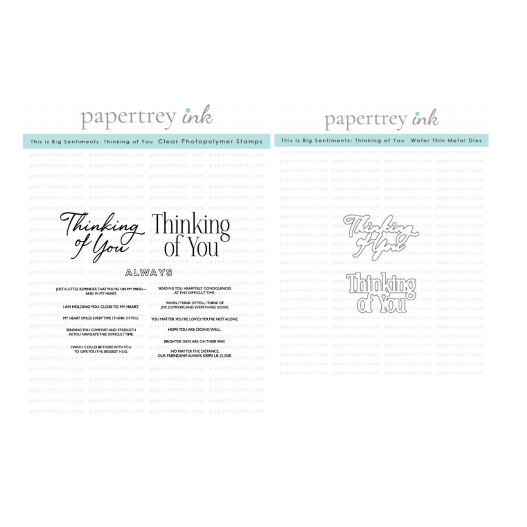 Papertrey Ink This is Big Sentiments Thinking of You Clear Stamp and Die Set
