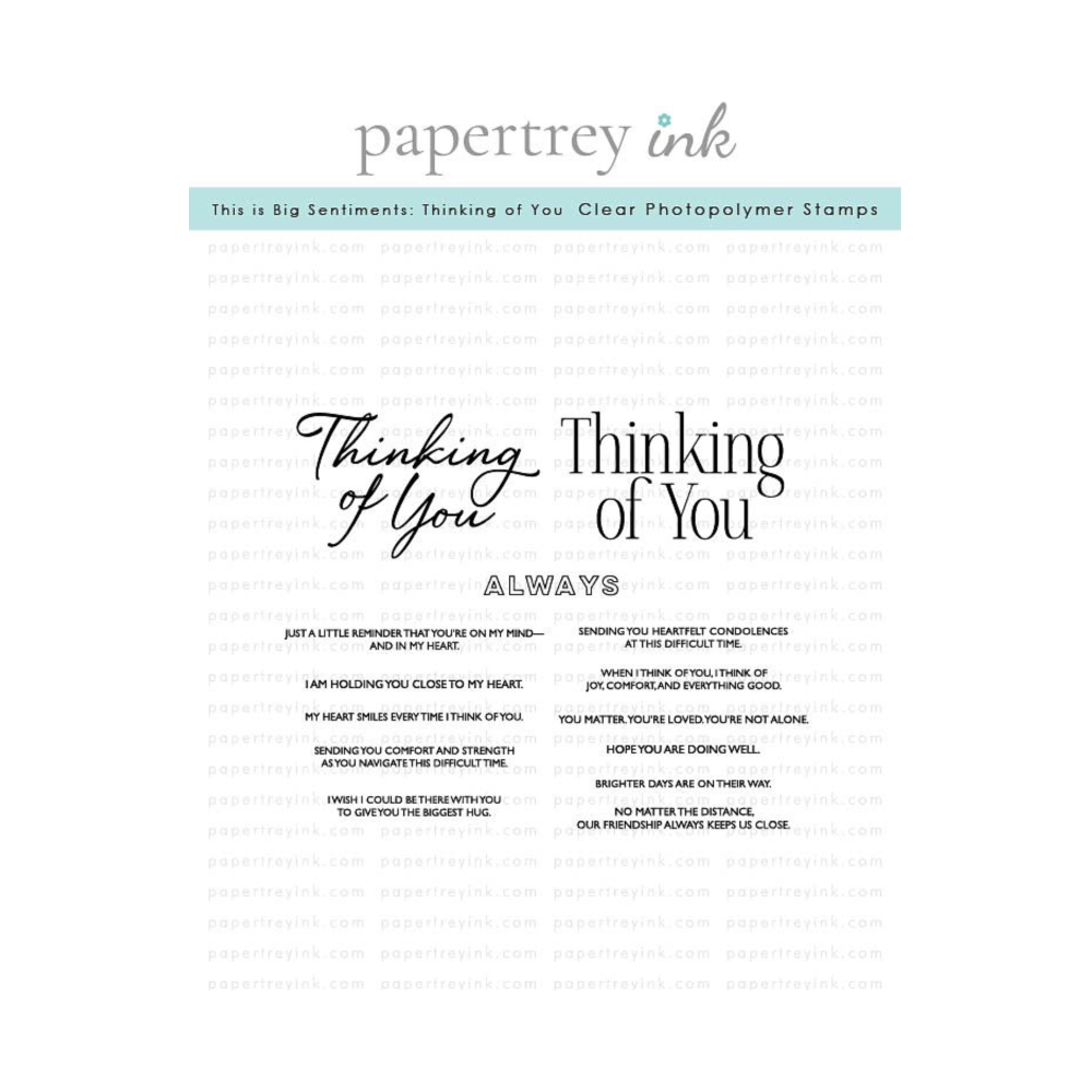 Papertrey Ink This is Big Sentiments Thinking of You Clear Stamps 1650