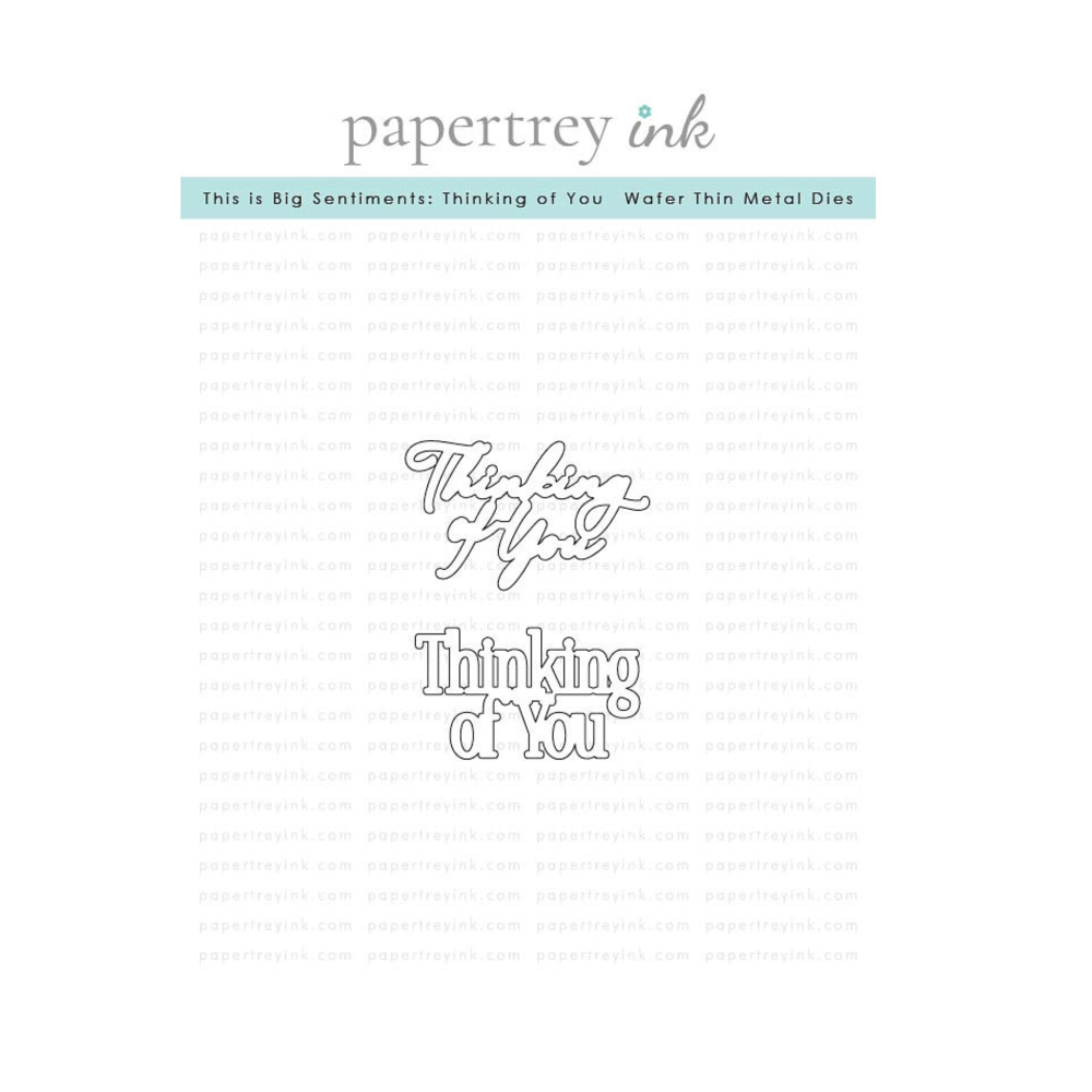 Papertrey Ink This is Big Sentiments Thinking of You Dies pti-0960