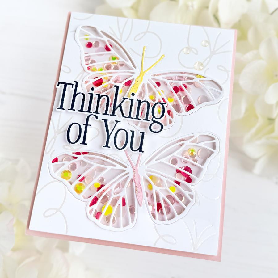 Papertrey Ink This is Big Sentiments Thinking of You Dies pti-0960 shaker card