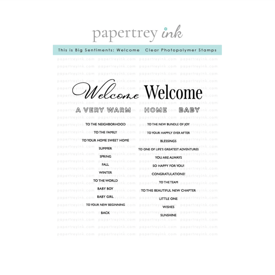 Papertrey Ink This is Big Sentiments Welcome Clear Stamp and Die Set product image 1