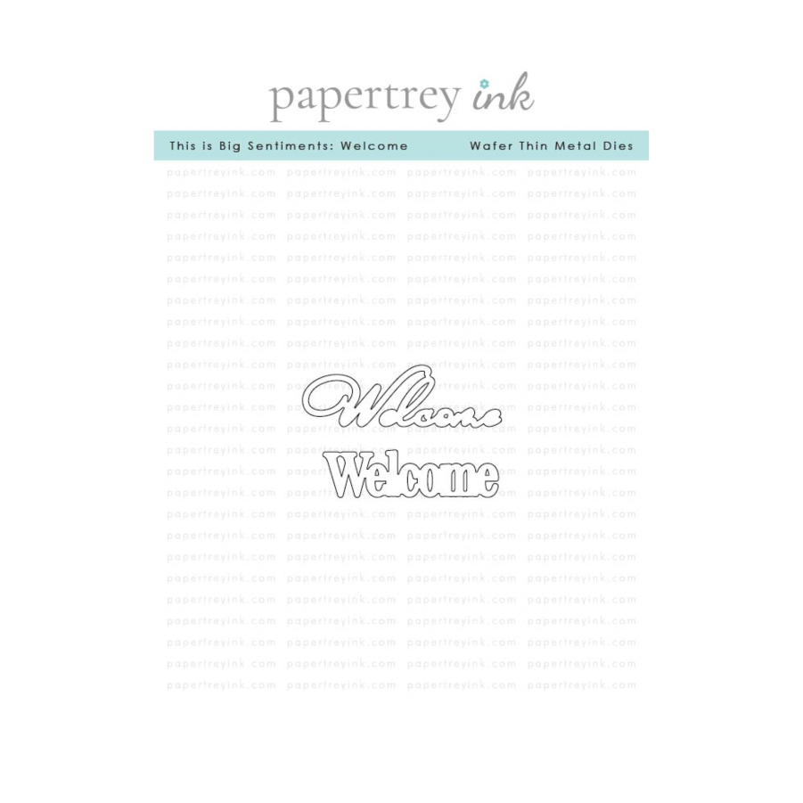 Papertrey Ink This is Big Sentiments Welcome Clear Stamp and Die Set product image 2