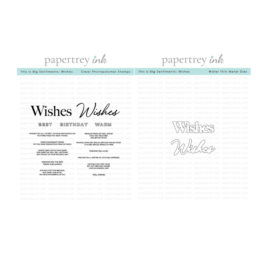Papertrey Ink This is Big Sentiments Wishes Clear Stamp and Die Set