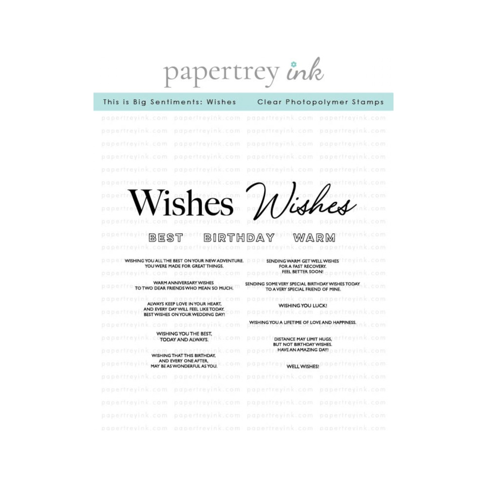 Papertrey_Ink_This_is_Big_Sentiments_Wishes_Clear_Stamp_and_Die_Set product image 1