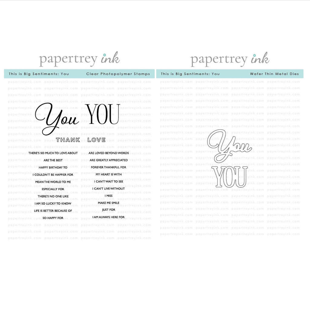 Papertrey Ink This is Big Sentiments You Clear Stamp and Die Set