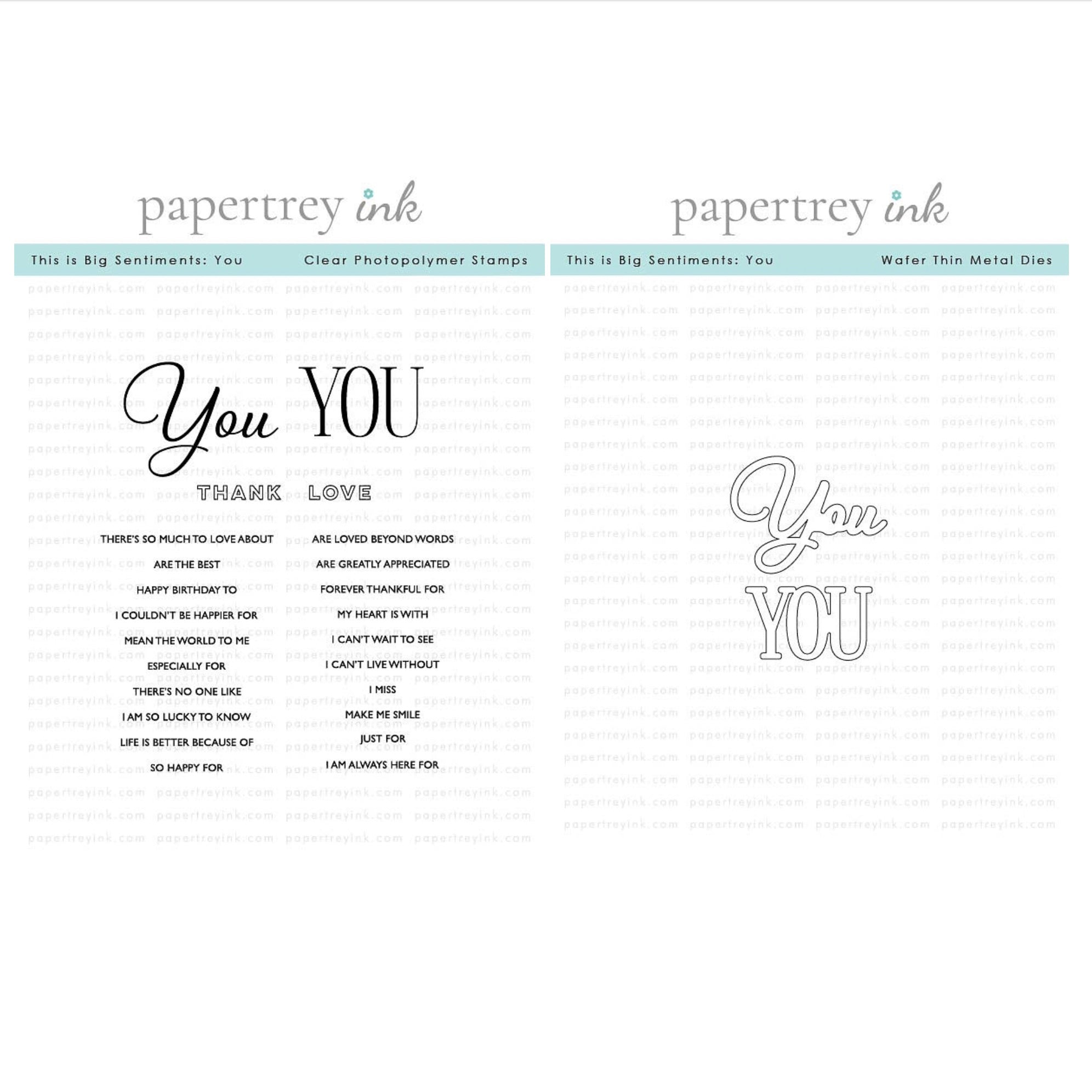 Papertrey Ink This is Big Sentiments You Clear Stamp and Die Set