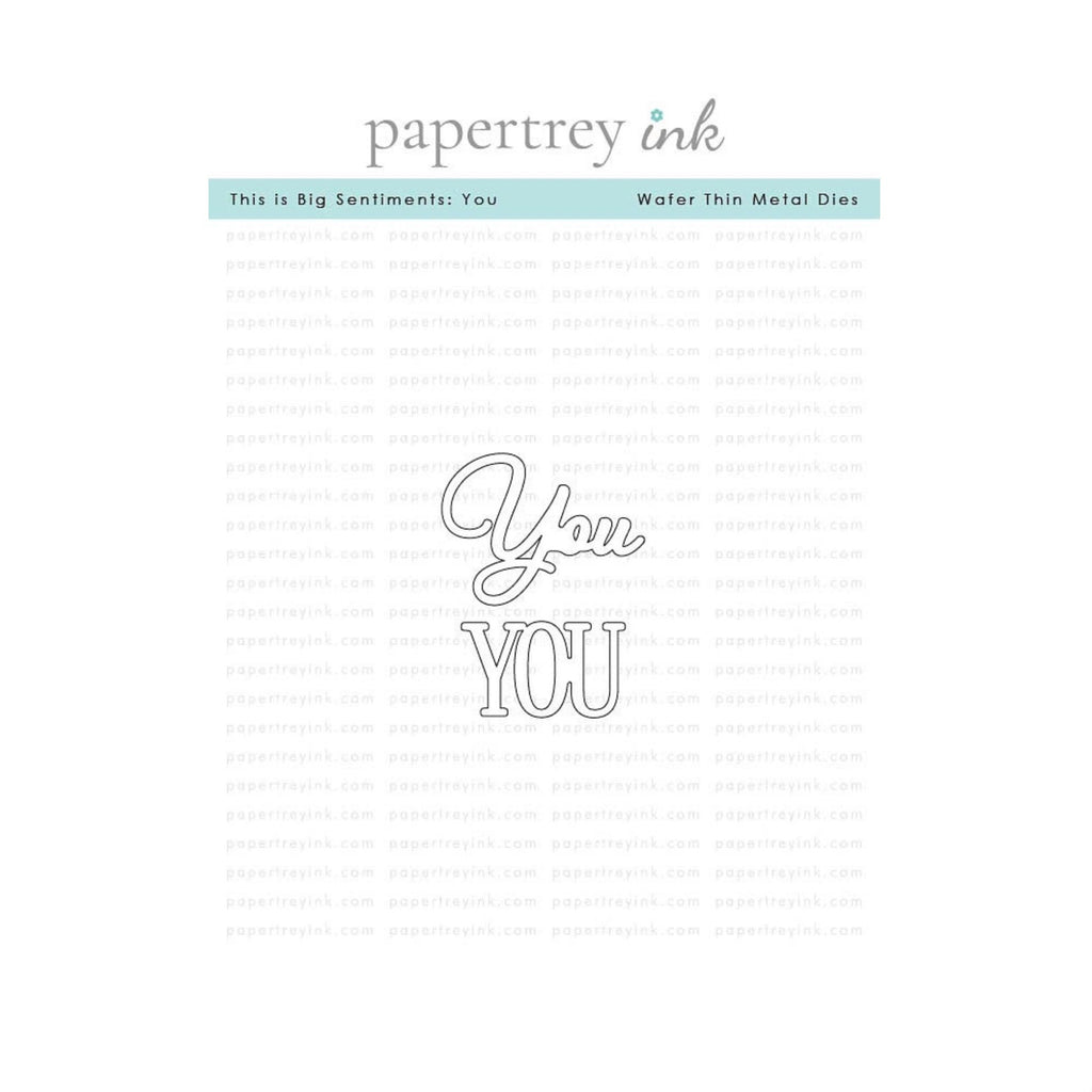 Papertrey Ink This is Big Sentiments You Clear Stamp and Die Set product image 2