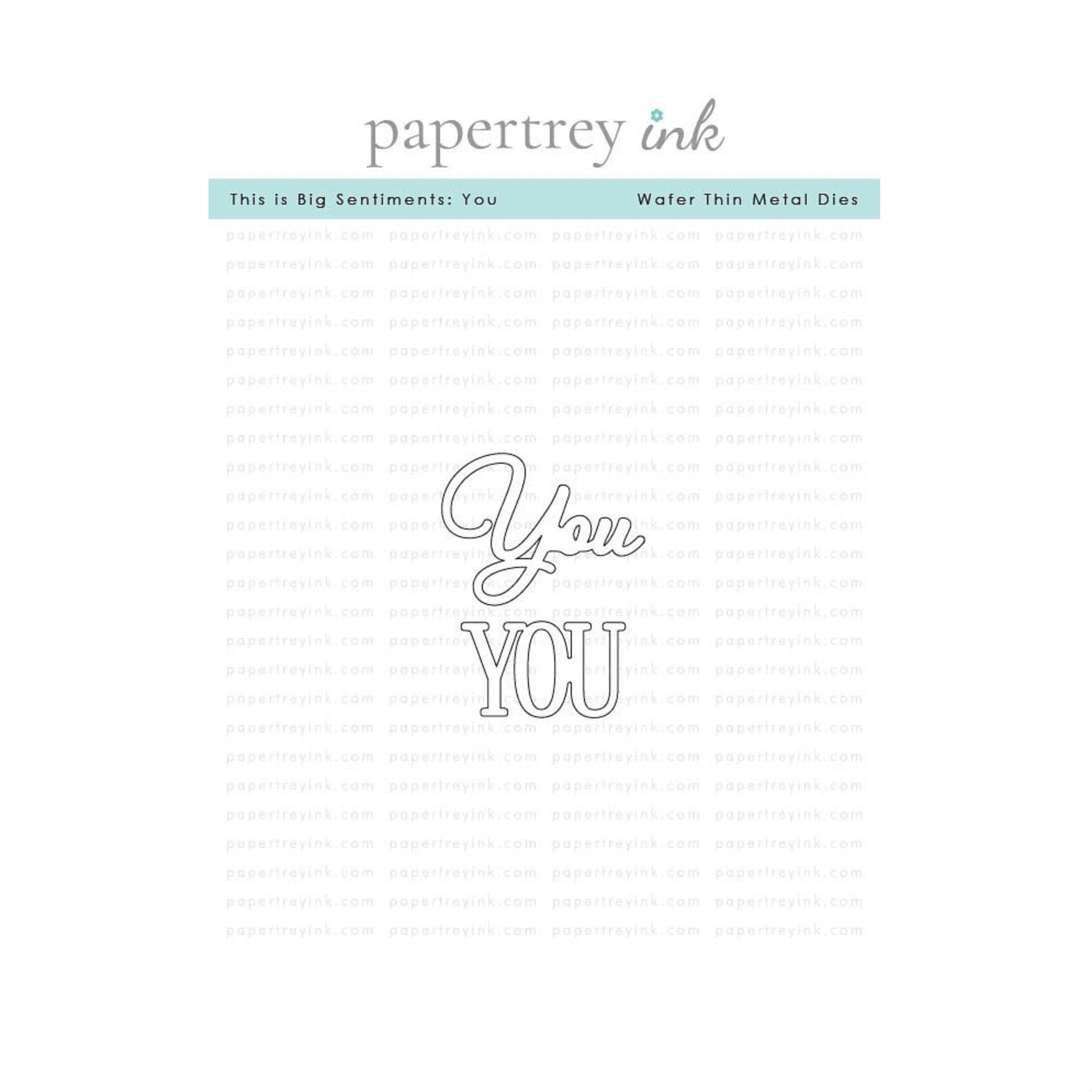 Papertrey Ink This is Big Sentiments You Clear Stamp and Die Set product image 2