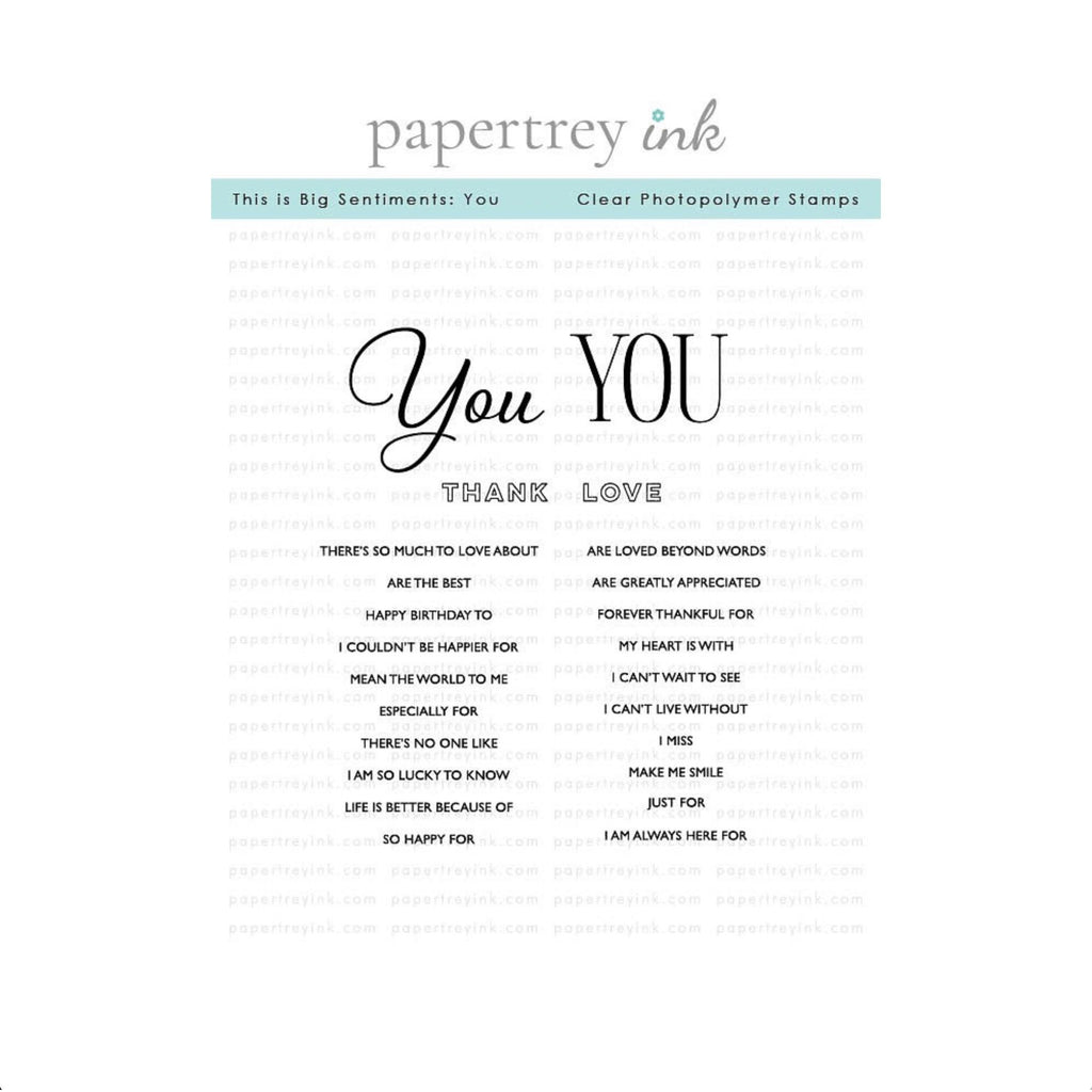 Papertrey Ink This is Big Sentiments You Clear Stamps 1720