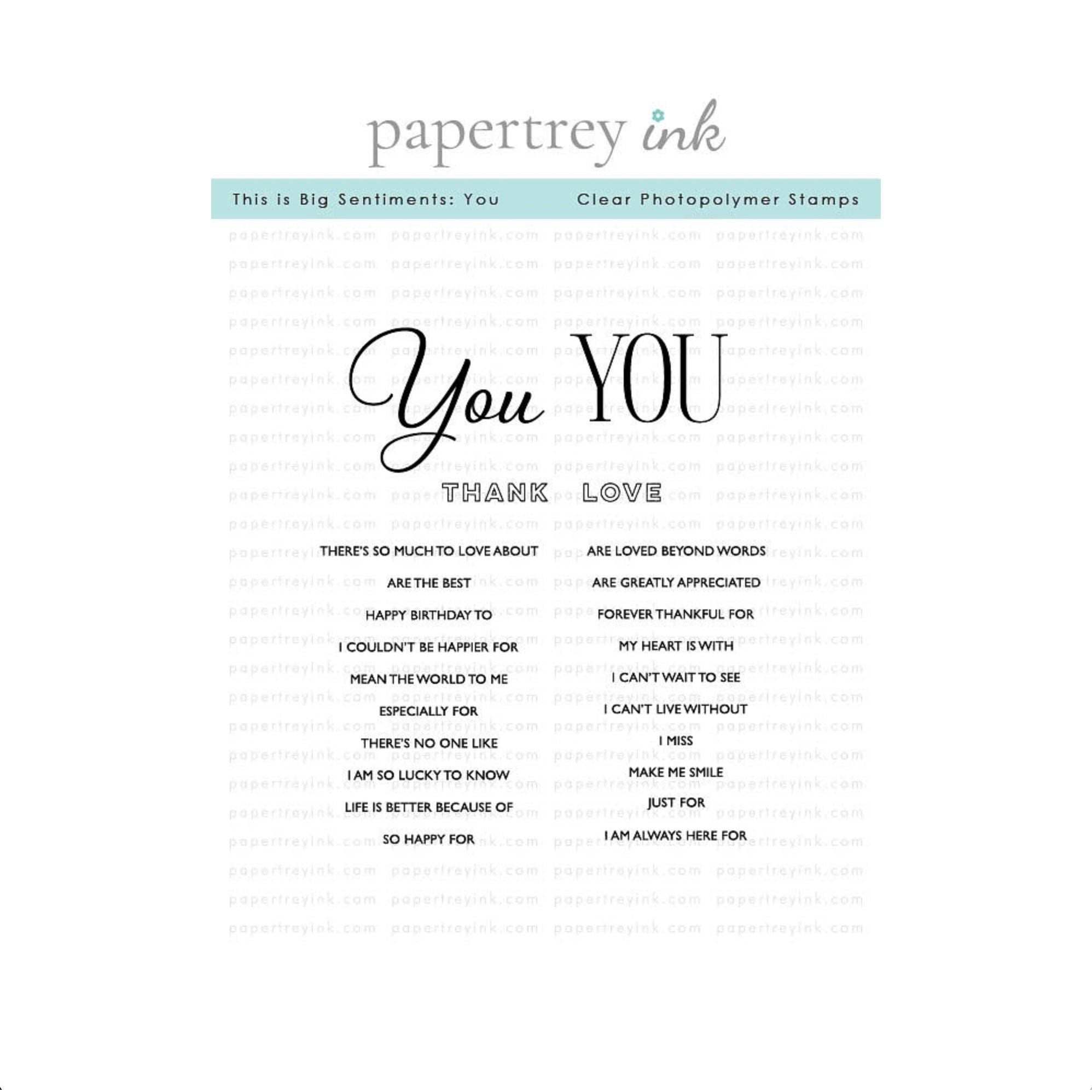 Papertrey Ink This is Big Sentiments You Clear Stamps 1720