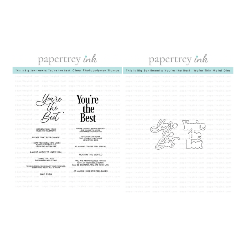 Papertrey Ink This is Big Sentiments You're the Best Clear Stamp and Die Set