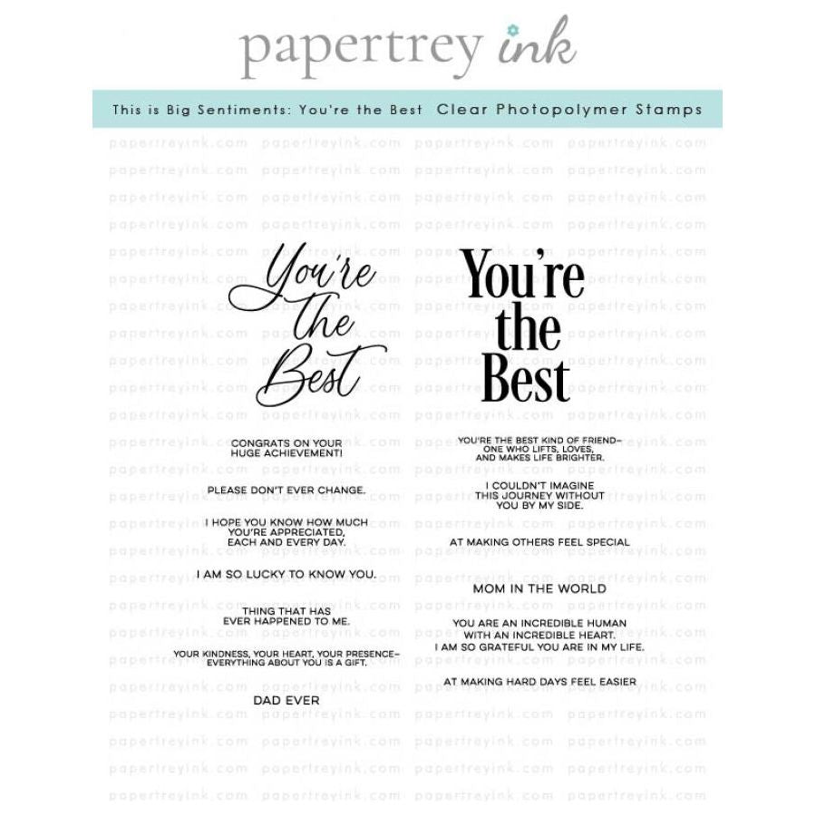 Papertrey Ink This is Big Sentiments You're the Best Clear Stamp and Die Set product image 1