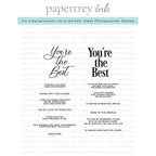 Papertrey Ink This is Big Sentiments You're the Best Clear Stamp and Die Set product image 1