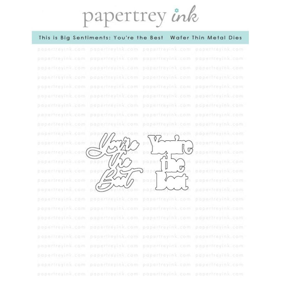Papertrey Ink This is Big Sentiments You're the Best Clear Stamp and Die Set product image 2