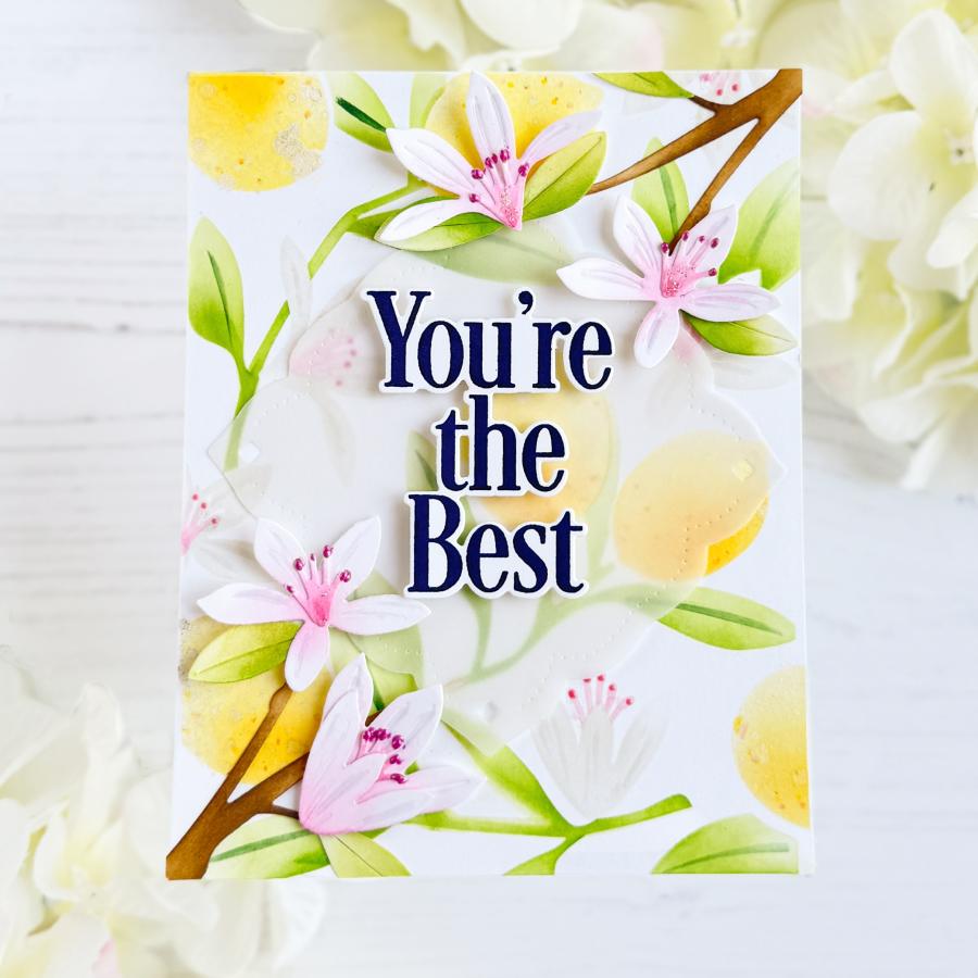 Papertrey Ink This is Big Sentiments You're the Best Clear Stamps 1643 lemons