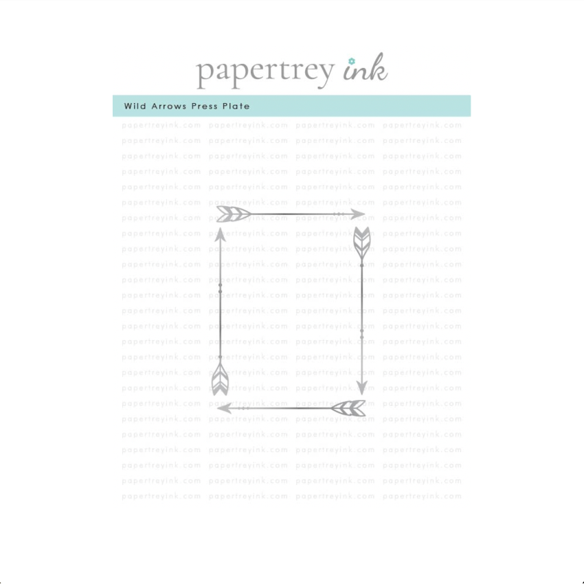 Papertrey Ink Wild Arrows Press Plate ptif-0052