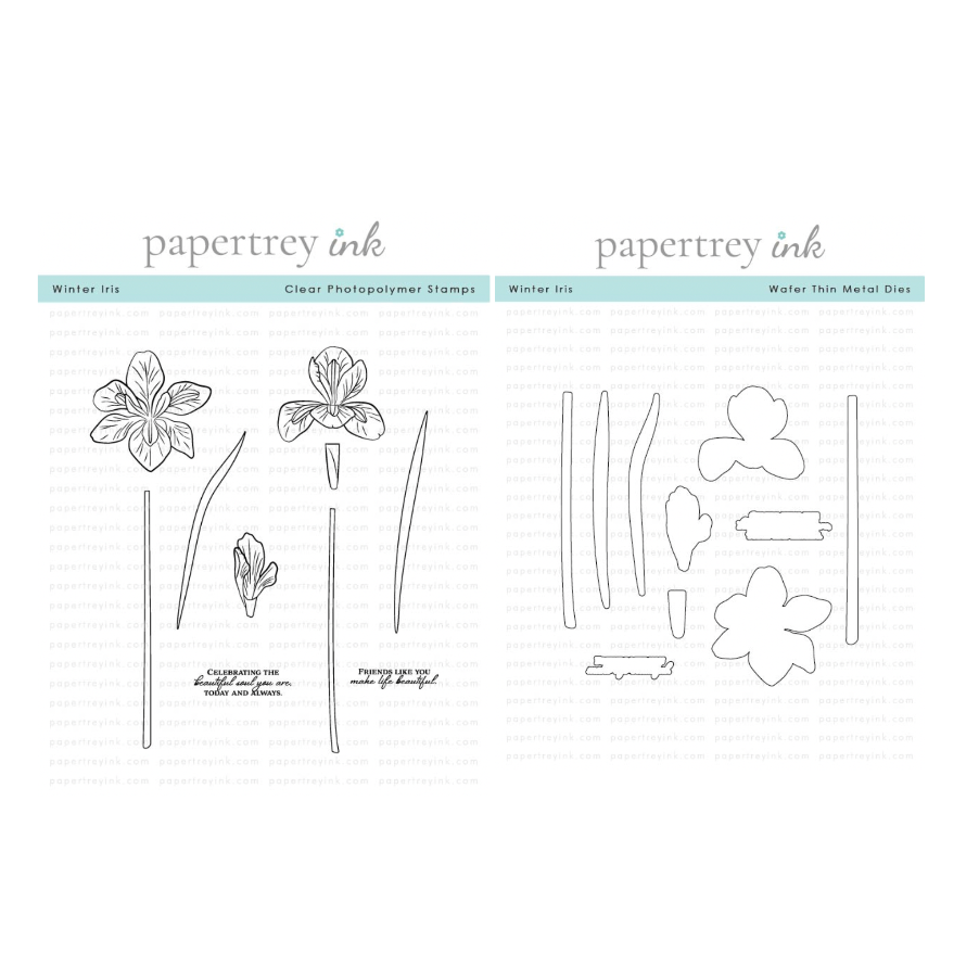 Papertrey Ink Winter Iris Clear Stamp and Die Set