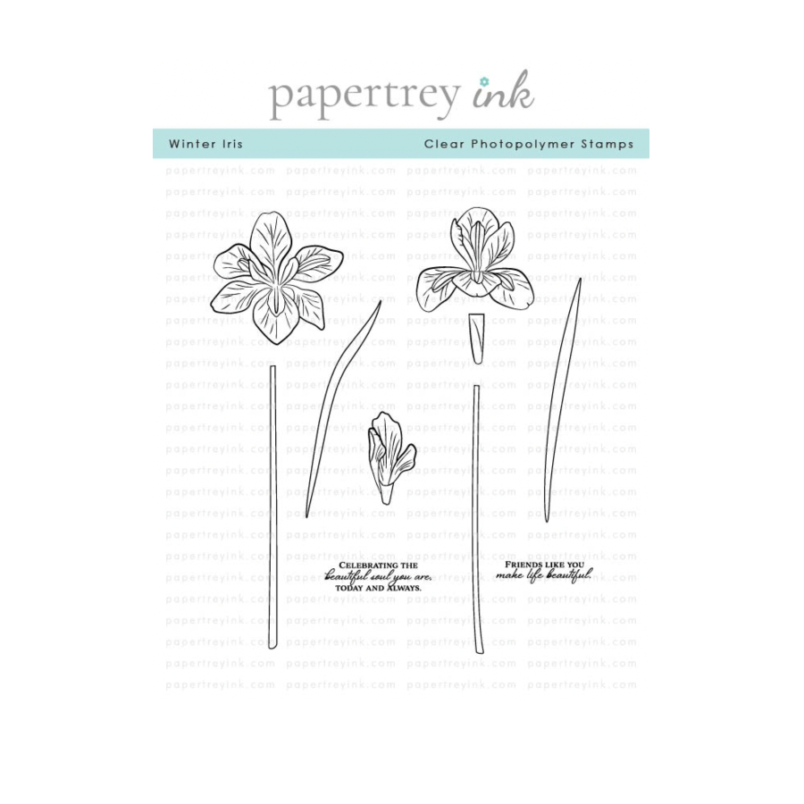 Papertrey Ink Winter Iris Clear Stamp and Die Set image 1