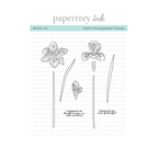 Papertrey Ink Winter Iris Clear Stamp and Die Set image 1