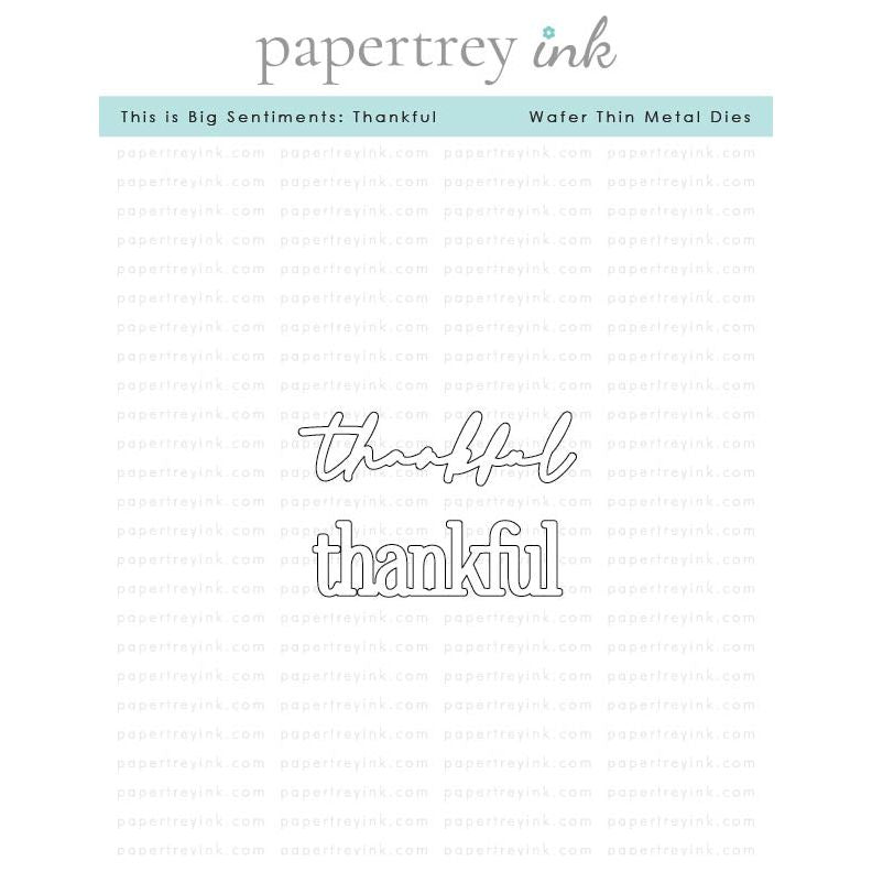 Papertrey This is Big Sentiments Thankful Dies pti-0836