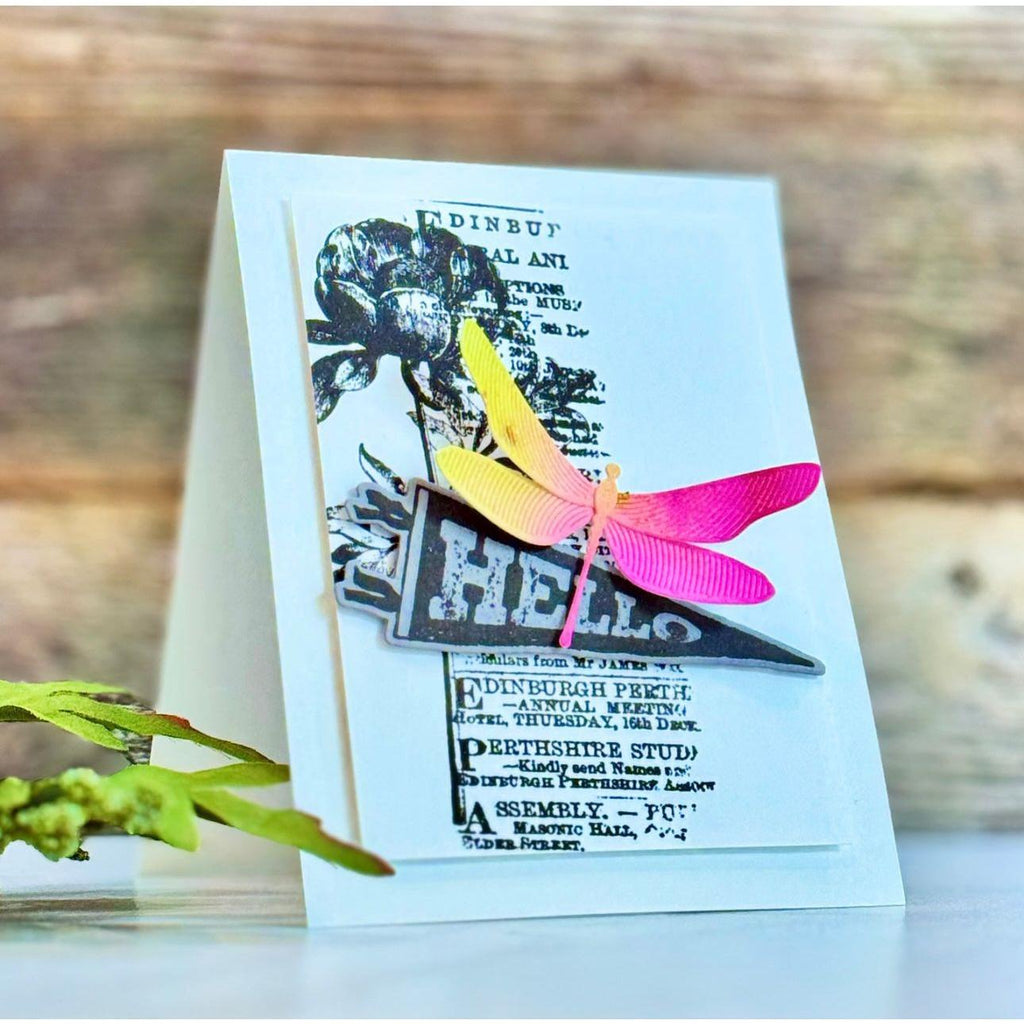 Simon Says Stamp Tim Holtz Pennants Bundle setpn24 Hello Card