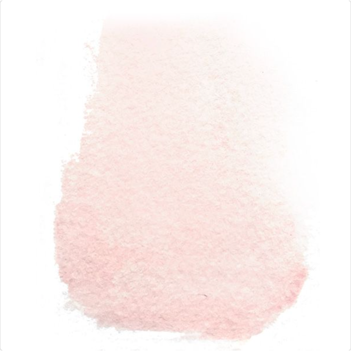 Penny Black Ballet Slipper Liquid Watercolor 75-027 image 1