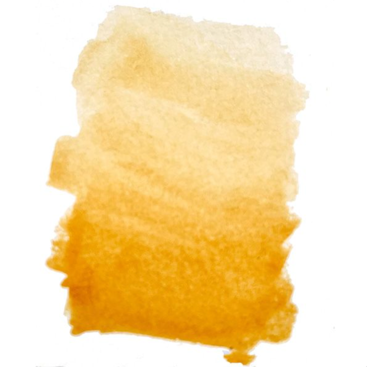 Penny Black Citrus Liquid Watercolor 75-019 image 1