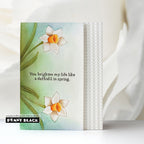 Penny Black Daffodils Clear Stamp and Die Set watercolor background