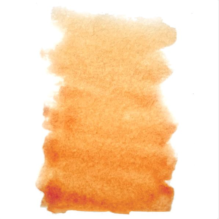 Penny Black Tiger Liquid Watercolor 75-020 image 1