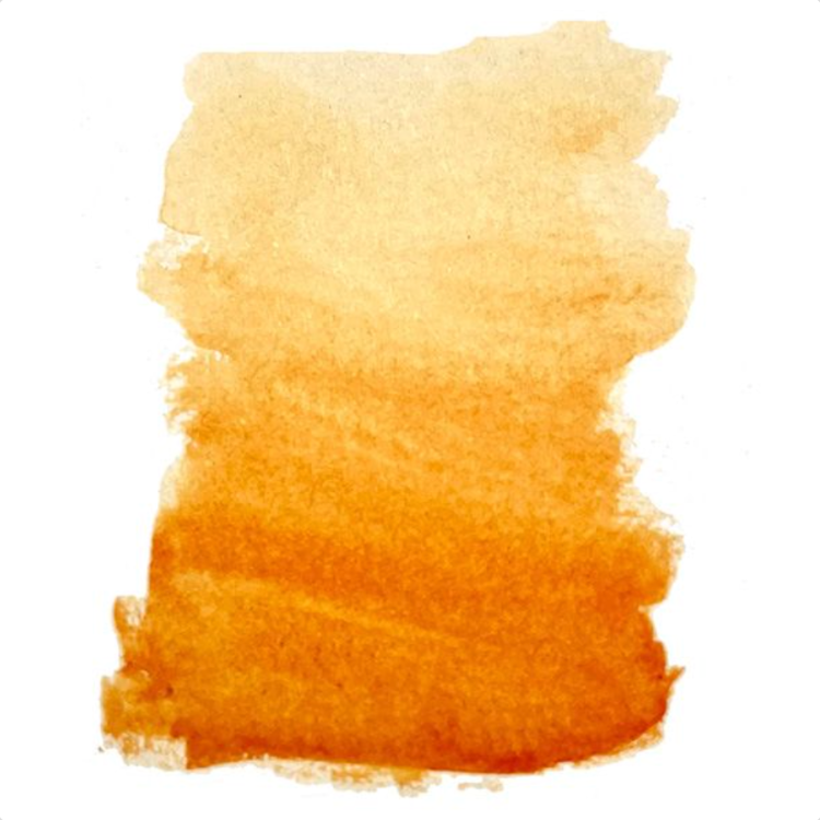 Penny Black Zinnia Liquid Watercolor 75-018 image 1
