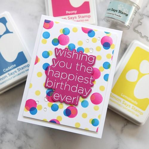 Simon Says Stamp Pawsitively Saturated Winter Ink Pad Bundle set02wb