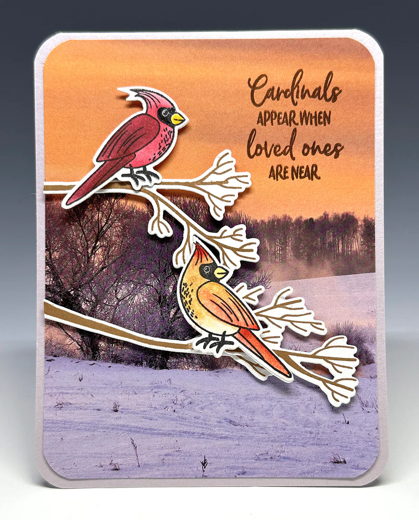 Impression Obsession Winter Cardinals Clear Stamp, Die and Stencil Set cds001 birds