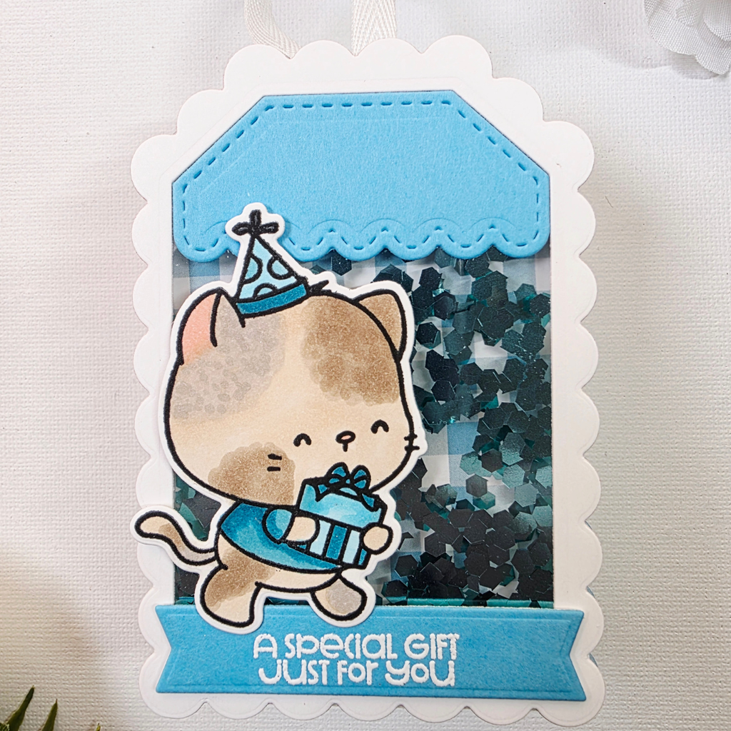 Pink and Main Birthday Friends Clear Stamps pm0860 shaker tag