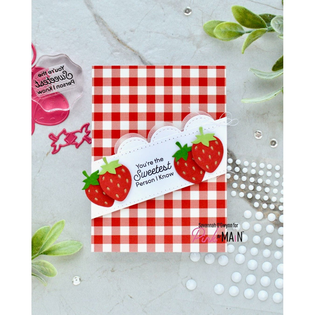 Pink and Main Bugs and Berries 8.5 x 5.5 inch Paper Pack pmp165 plaid