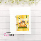 Pink and Main Burlap Embossing Folder pmt103 bear