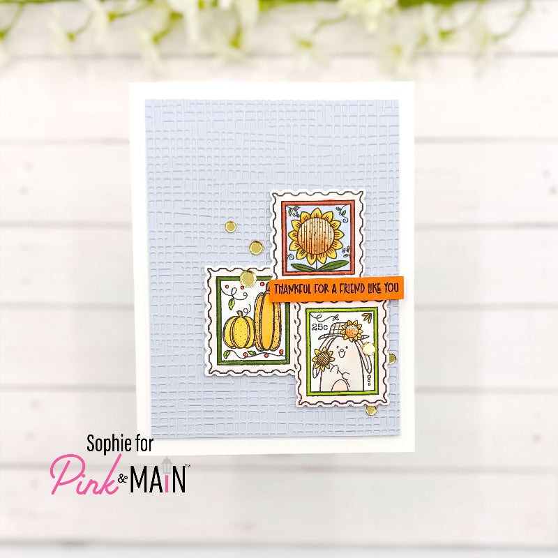 Pink and Main Burlap Embossing Folder pmt103 friend