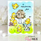 Pink and Main Chirp Chirp Hooray Clear Stamps pm0854 happy birthday