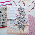 Pink and Main Dogwood Blooms Dies pnm870 get well soon