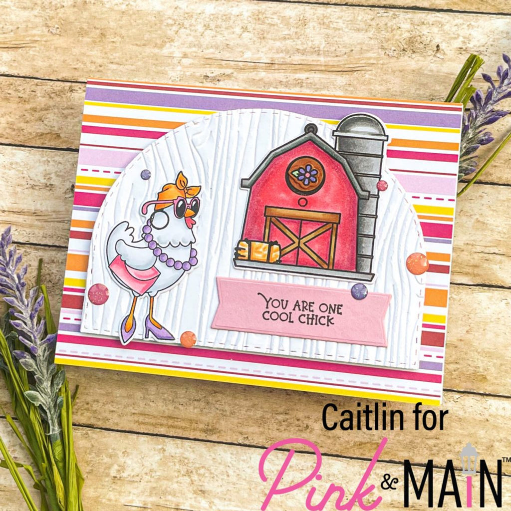 Pink and Main Home Tweet Home Clear Stamps PM0625 barn