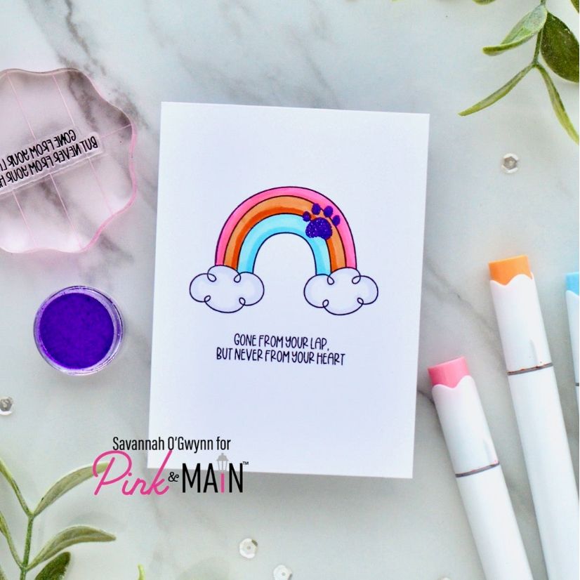 Pink and Main Pet Angels Dies pnm807 rainbow