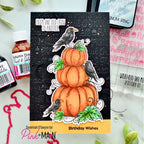 Pink and Main Pumpkins and Crows Clear Stamp and Die Set birthday wishes card